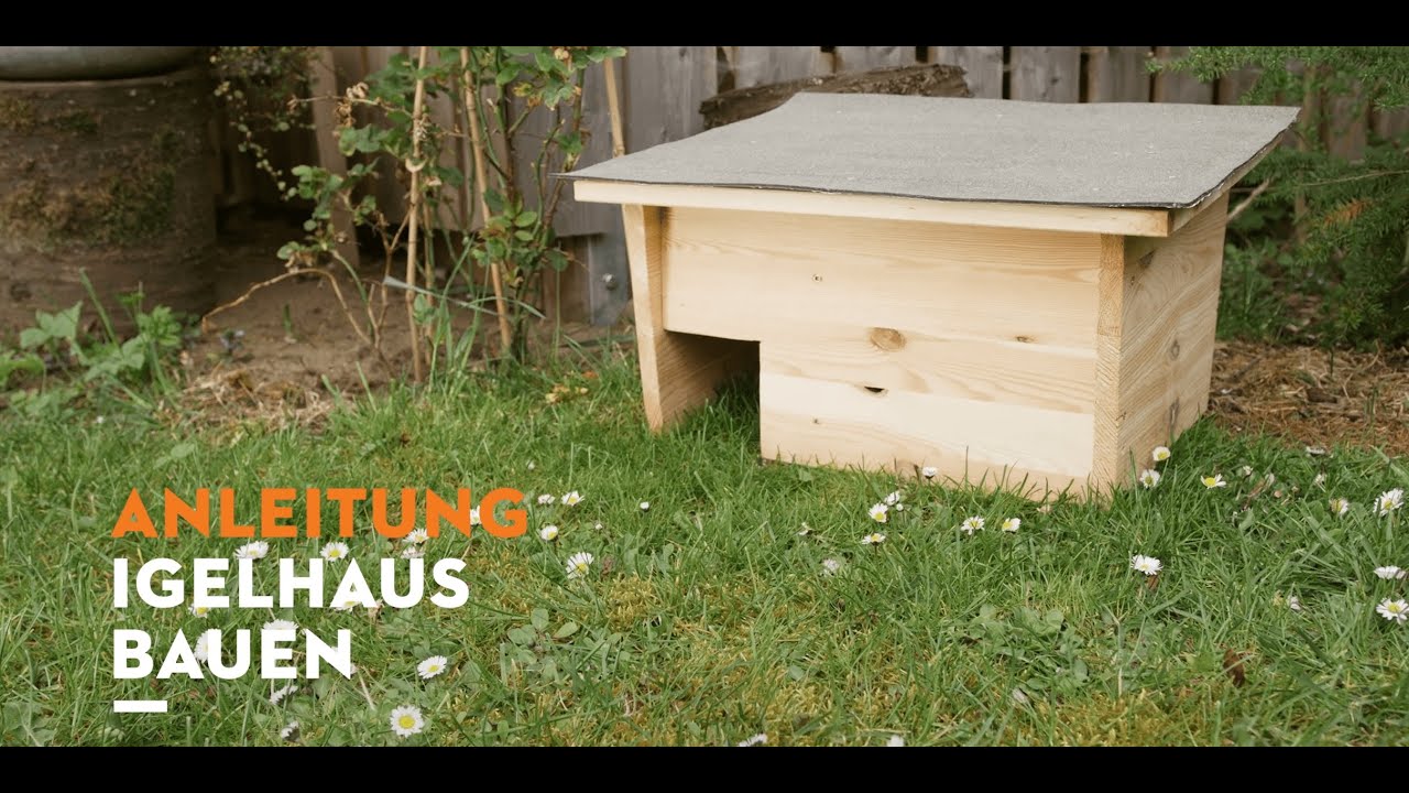 Selber machen: Igelhaus bauen