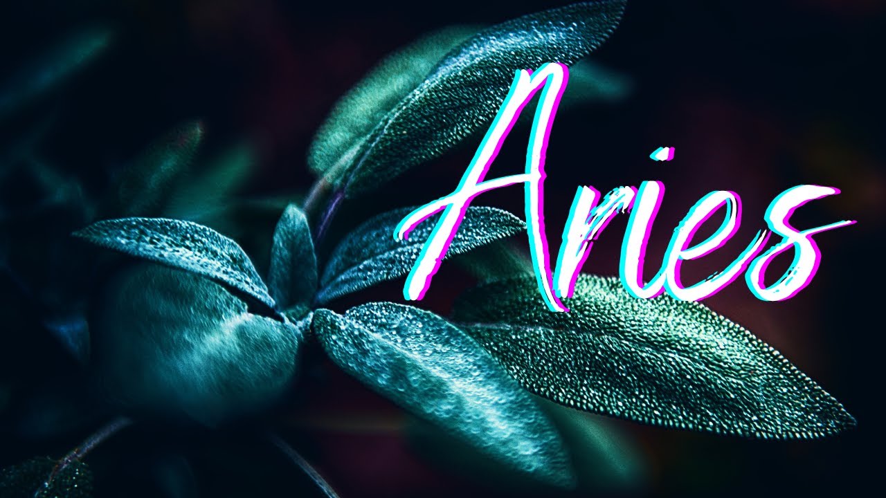 Aries🌿You're EVERYTHING They Want - They'll Fight For This🌿Energy Check In