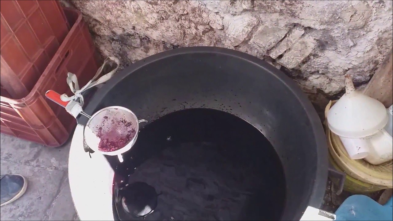 Come nasce il Vino Aglianico