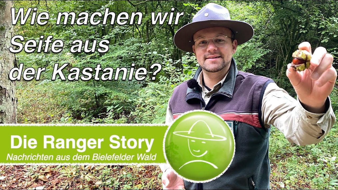 Wie machen wir Seife aus der Kastanie?