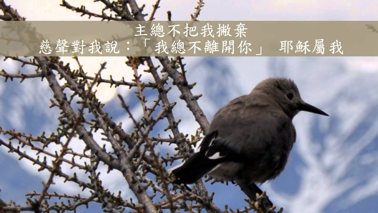 【給現代約伯---旋風中的安慰】5. 有平安在我心／粵語