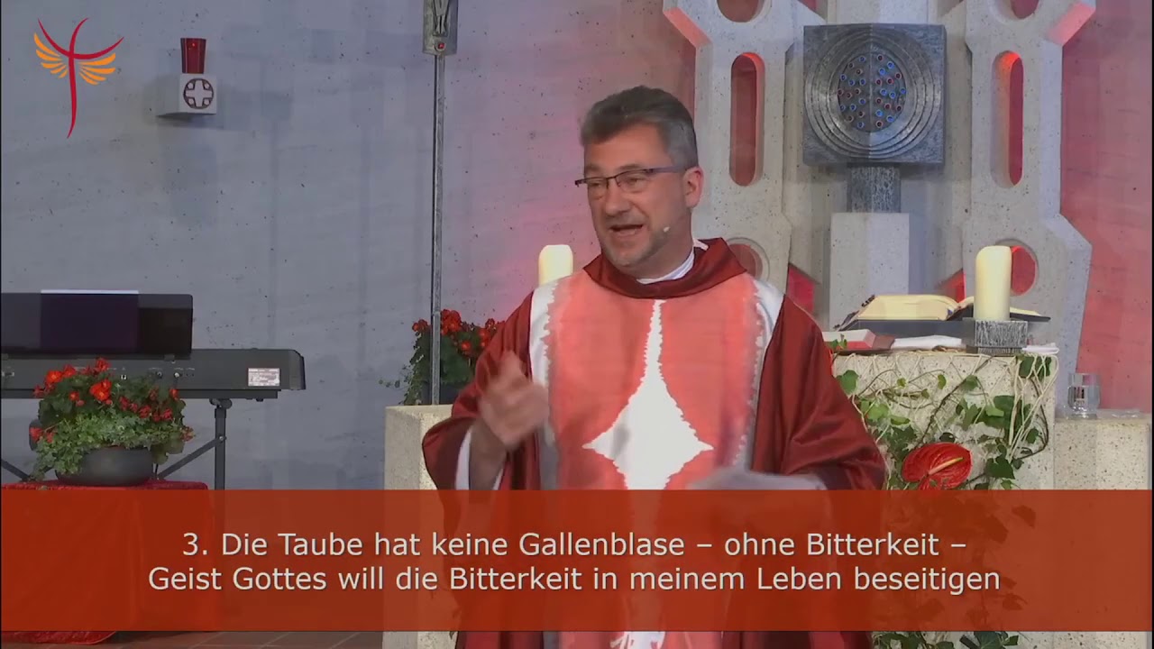 Predigt vom 01.06.2020: Eine Taube zeigt mir, was der Heilige Geist für mich bedeutet