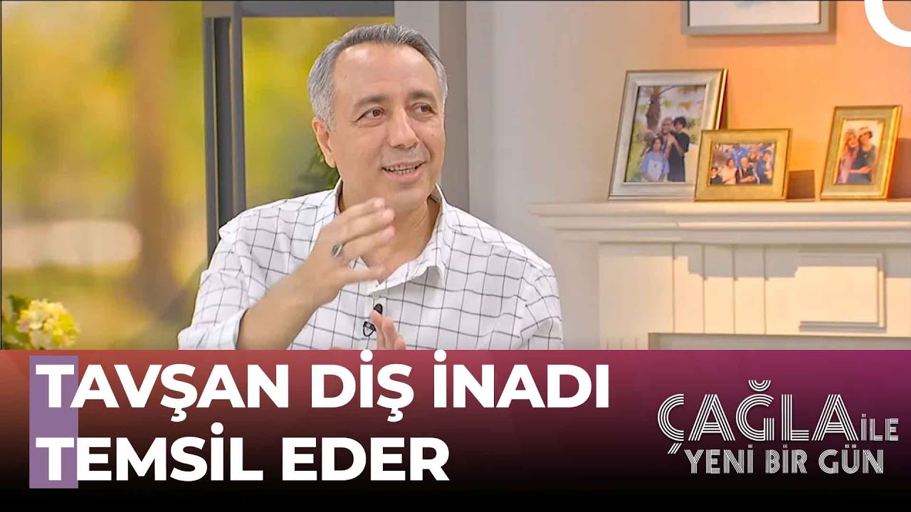 Ünlü ve Başarılı İsimlerin Yüzlerini Analiz Ediyoruz! - Çağla ile Yeni Bir Gün 1080. Bölüm