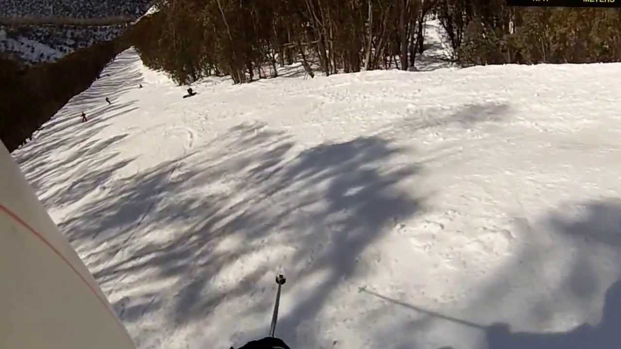 Skiing Hogs Back, Blue Ribbon at Hotham