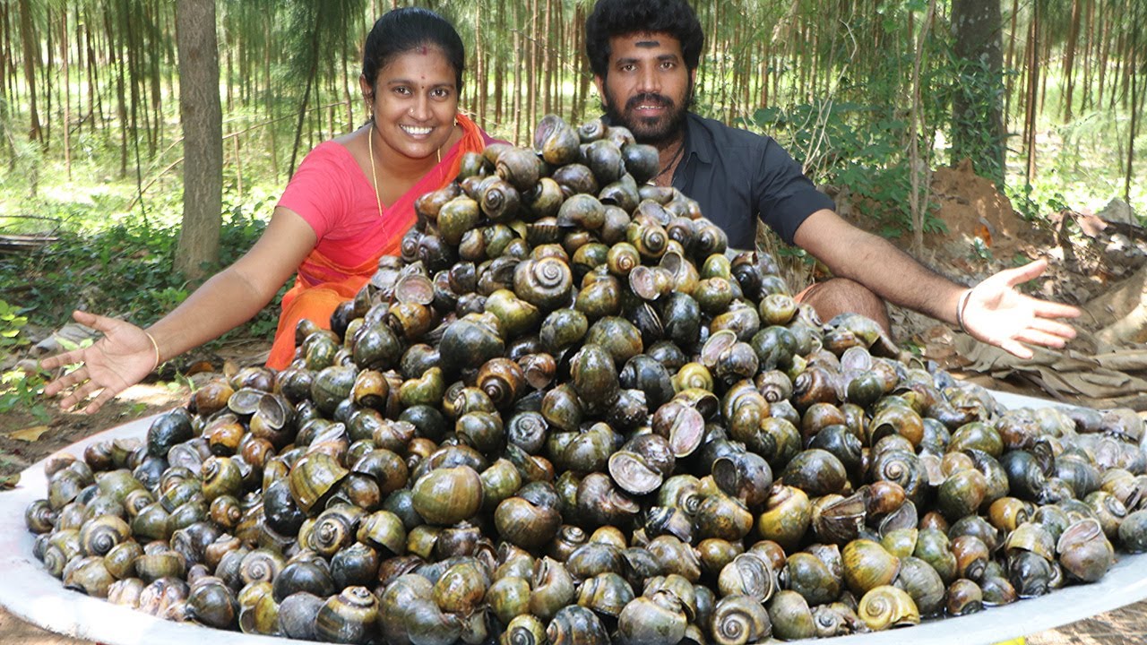 5000 SNAIL GURVY | NATHAI VARUVAL | Snail Recipe Cooking and Eating in Village | Healthy  Recipes