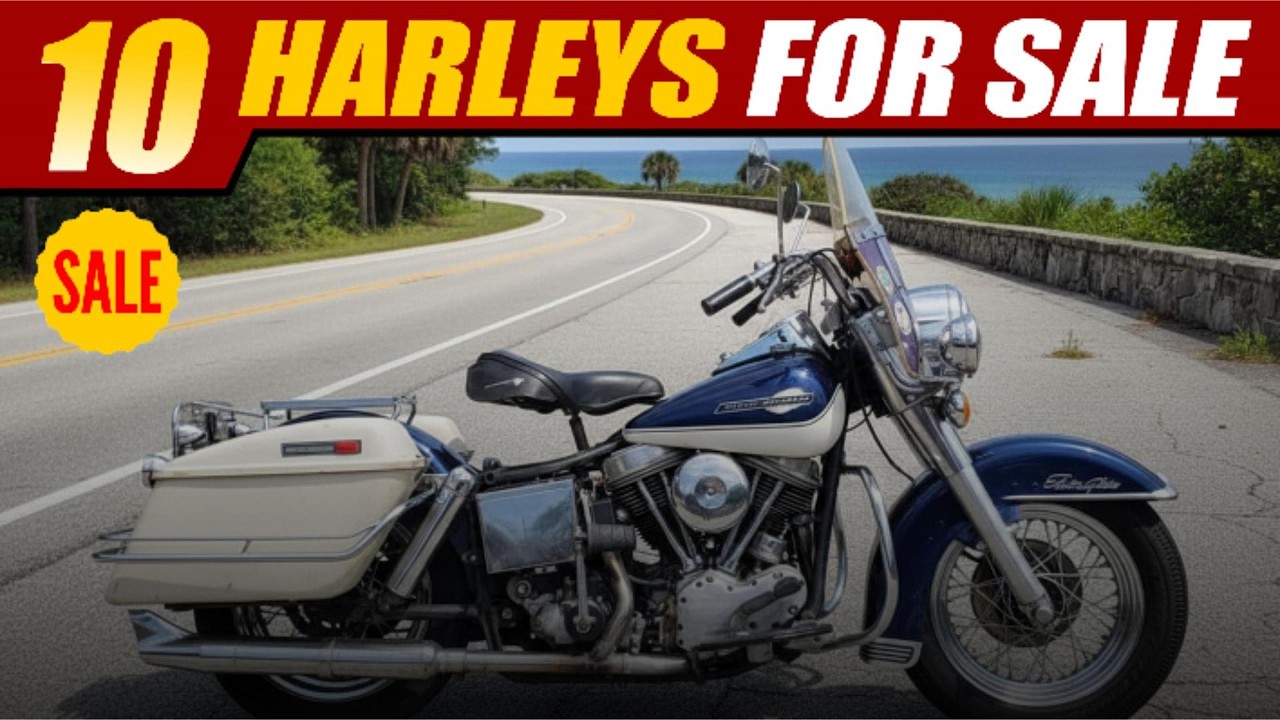 10 мотоциклов Harley-Davidson в продаже прямо сейчас — от Panhead 1965 года до бюджетных Softail!