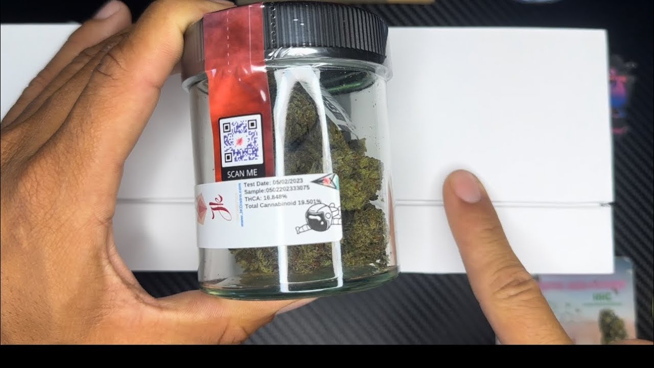THE RETURN ''CARTEL El CHAPO'' THCA (JKDISTRO) #jkdistro #jkeclipse2023