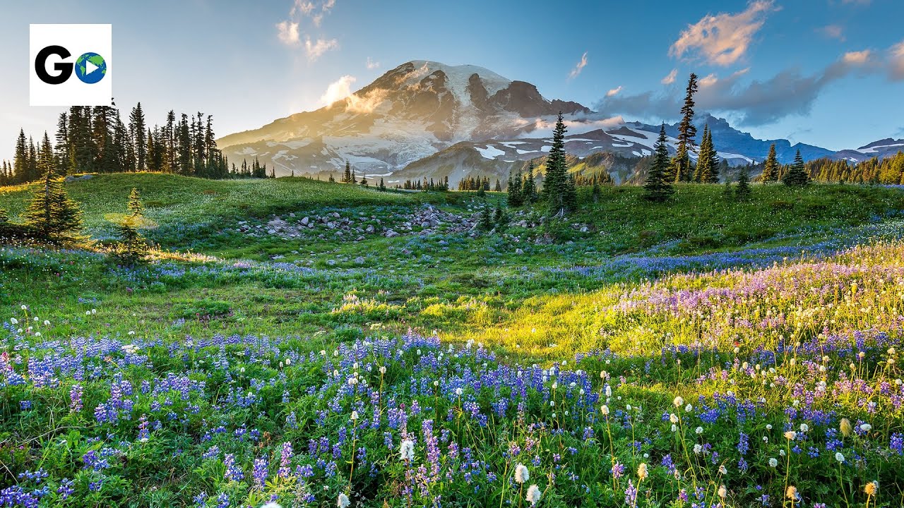 Mount Rainier National Park