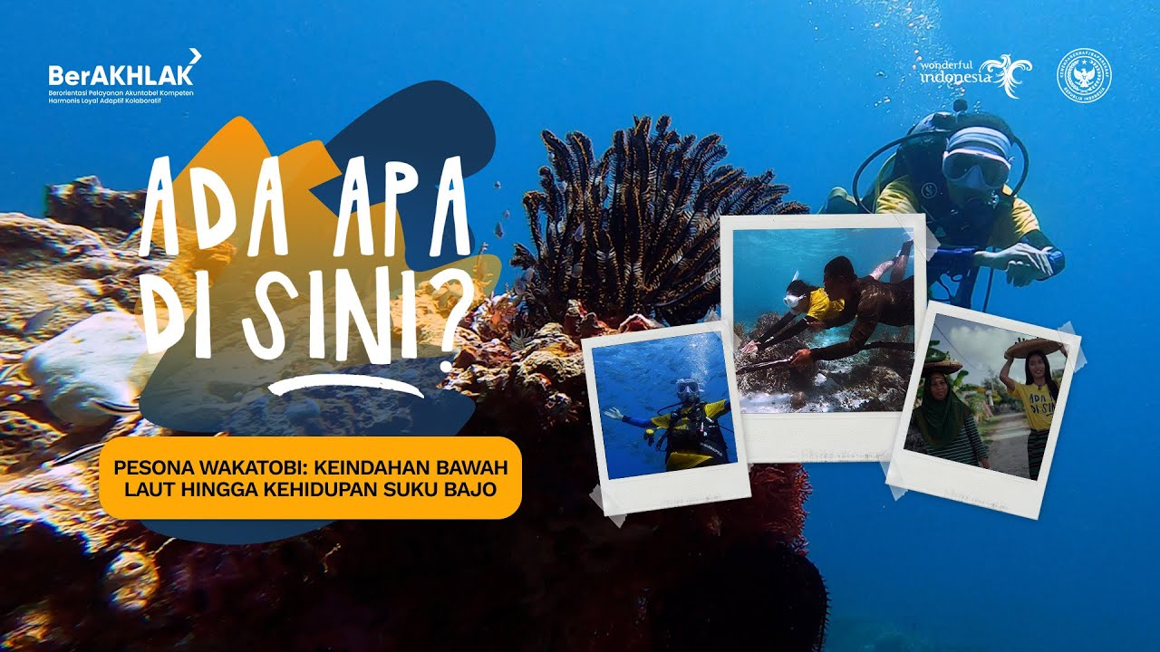 Pesona Wakatobi: Keindahan Bawah Laut Hingga Kehidupan Suku Bajo || ADA APA DI SINI?