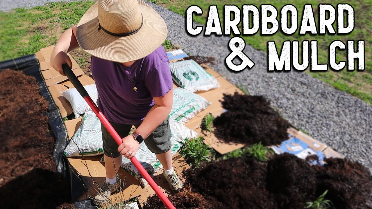 Her First Flower Garden in TN!
