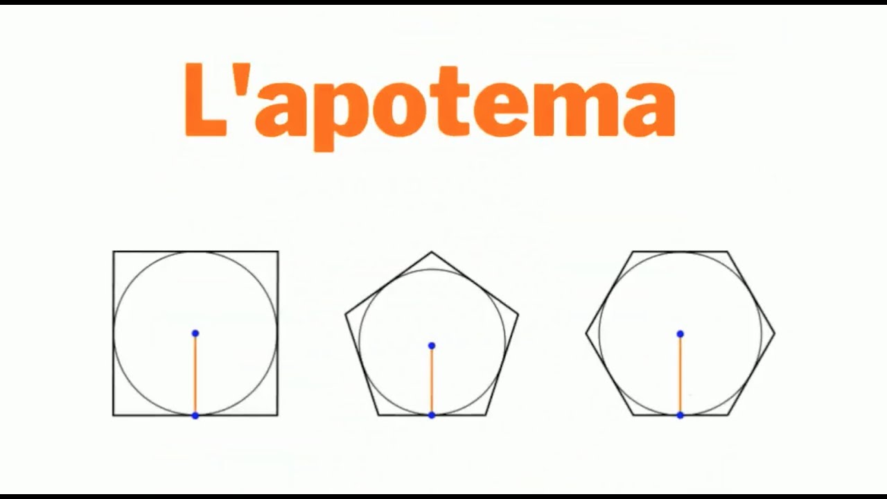 L'apotema