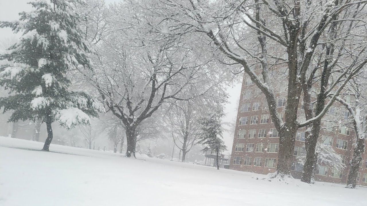 Snowstorm 2026 Live from Newyork!!