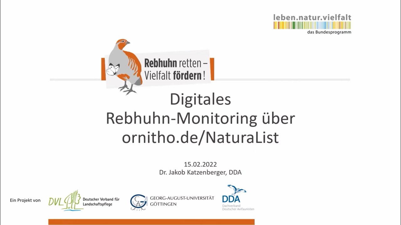 Digitale Rebhuhn-Erfassung mit ornitho.de/NaturaList