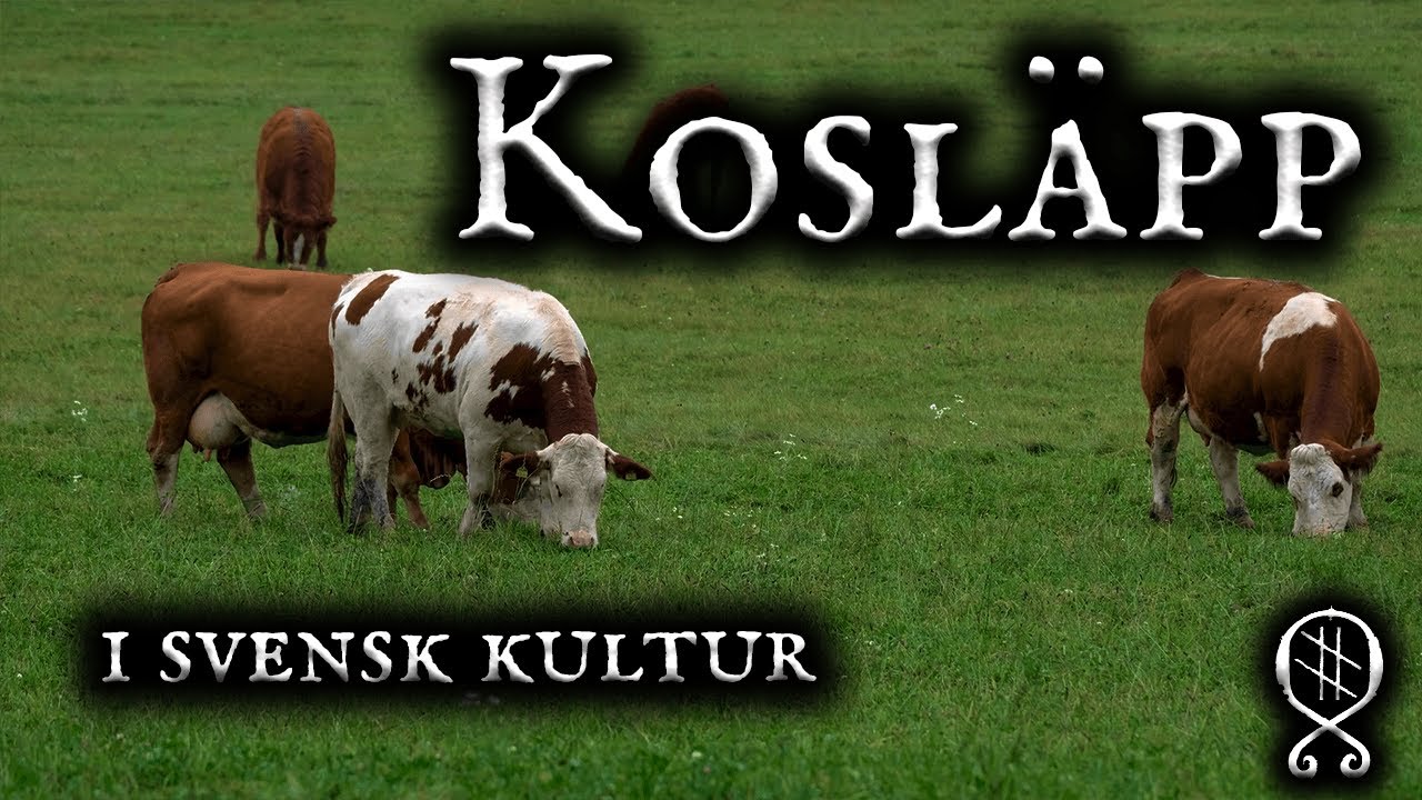 Kosläpp i svensk kulturhistoria