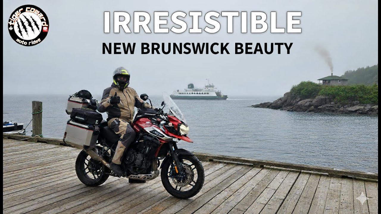Best Motorcycle Roads in New Brunswick | Epic East Coast Canada Ride | Tiger Coward Moto Rides
