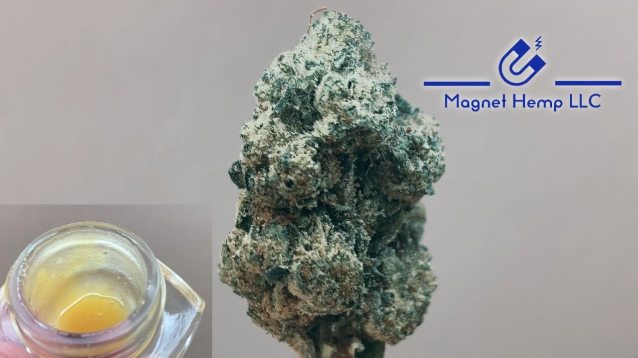 Magnet Hemp blew me away with this THCa drop!