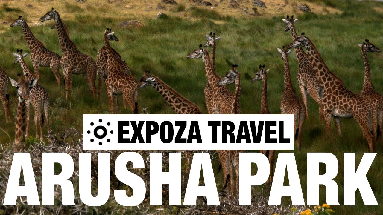 Arusha Park Vacation Travel Video Guide
