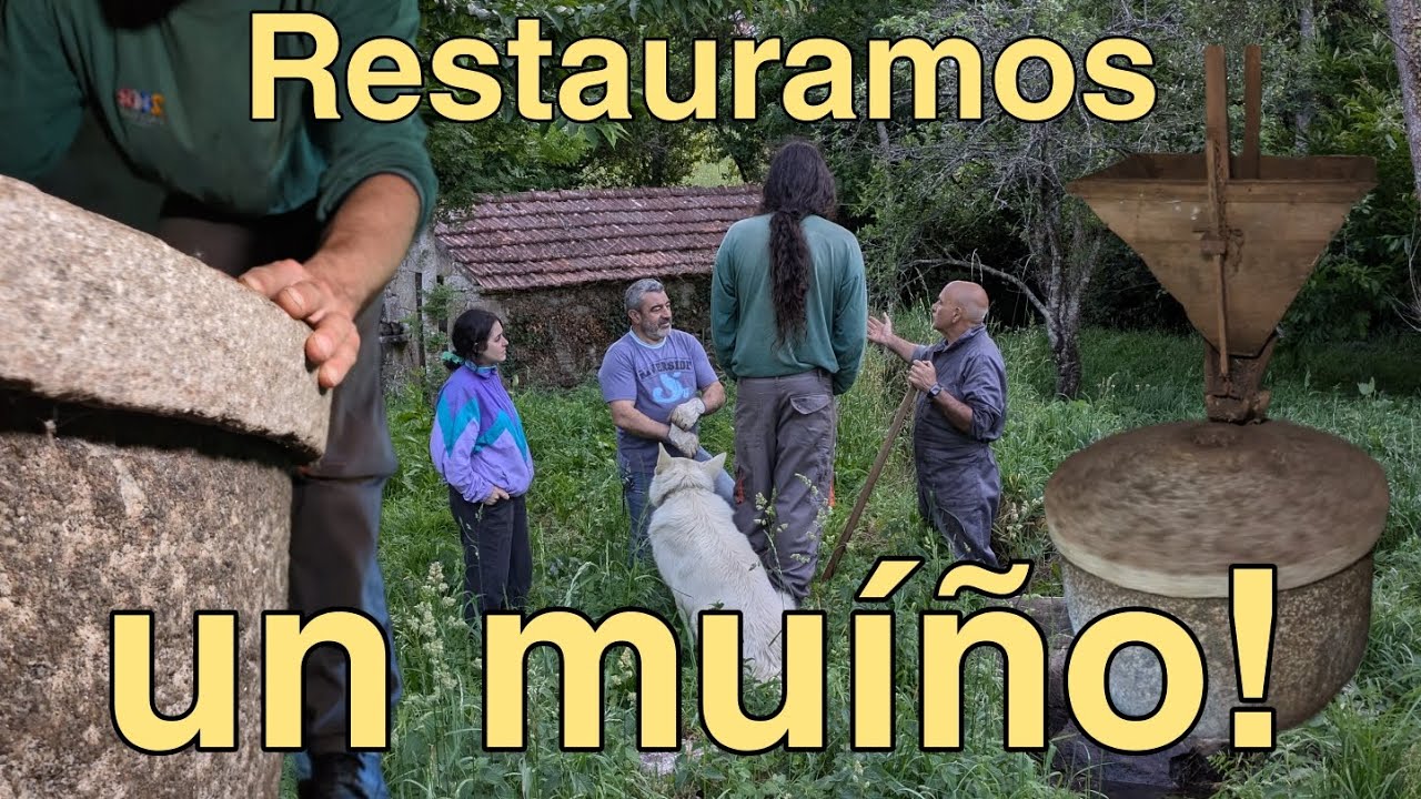 Restauramos o muíño de Couso de Abaixo! Muíño de auga en funcionamento. #galicia #rural #etnografía
