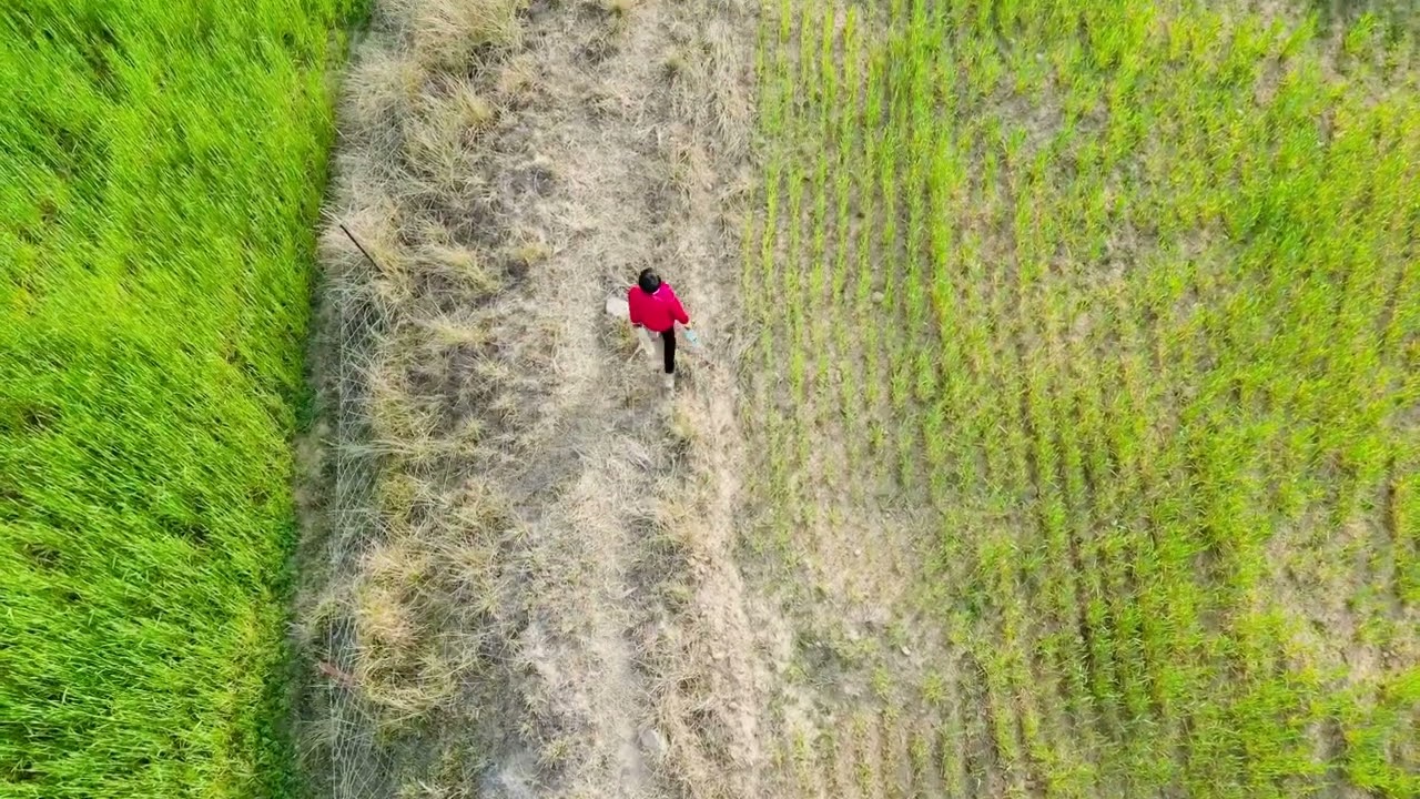 BBQ in the Wild