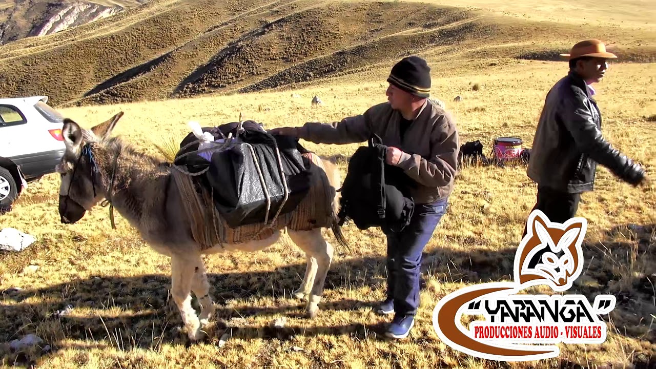 Camino a Pumapata - Huasicancha