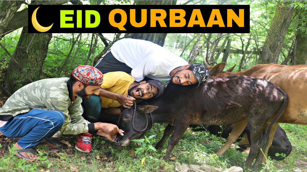 Eid Qurbaan Kashmiri Funny Drama