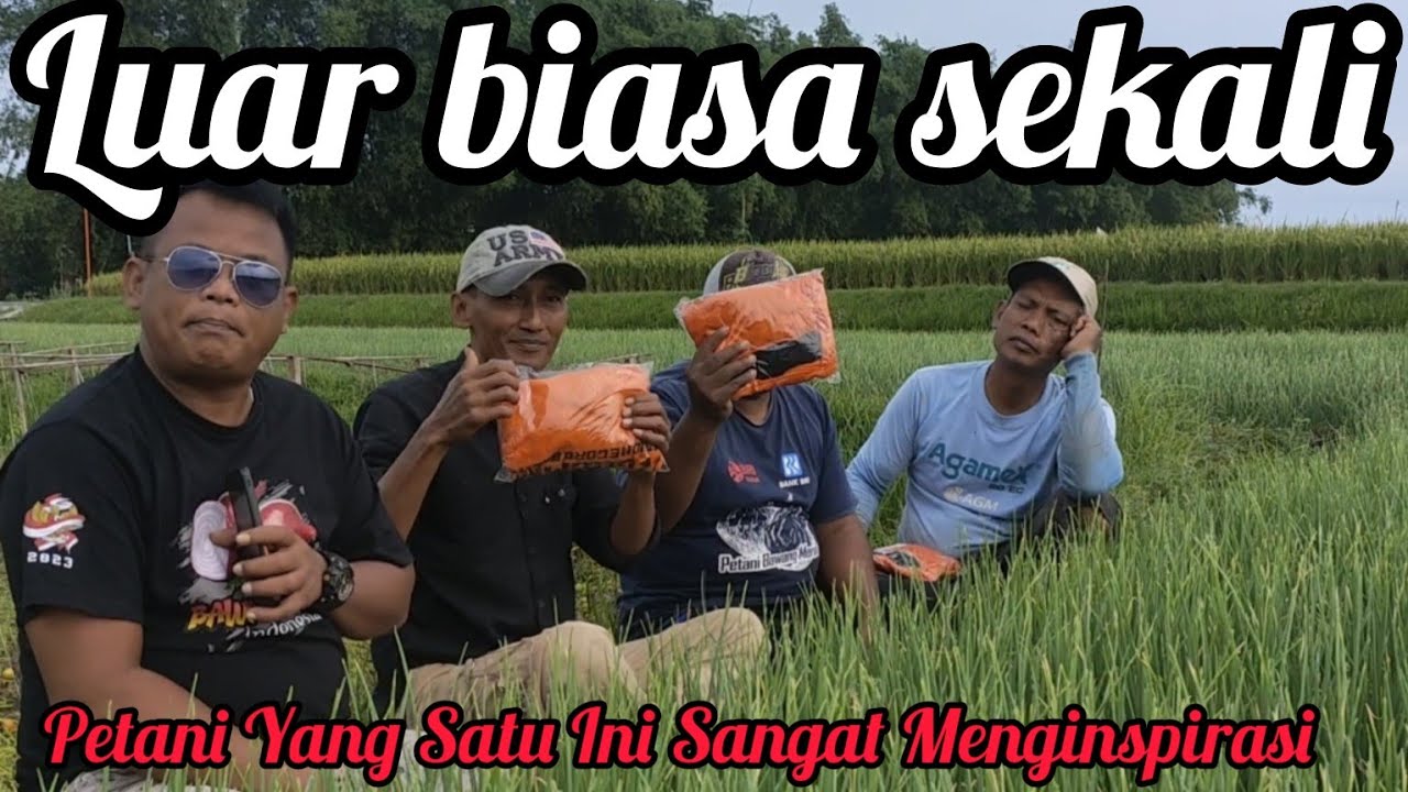 PETANI BAWANG MERAH YANG SATU INI SANGAT MENGINSPIRASI SEKALI