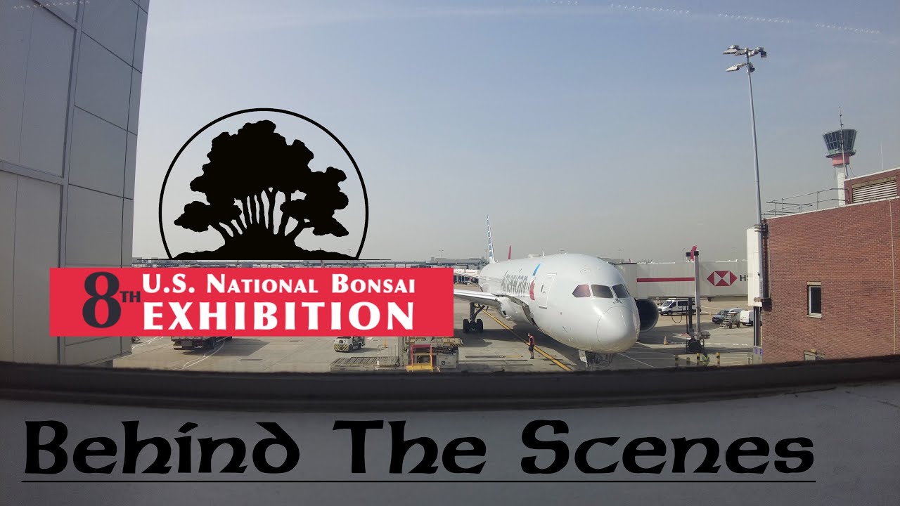 SNEAK PREVIEW - THE 8th NATIONAL BONSAI EXHIBITION, USA