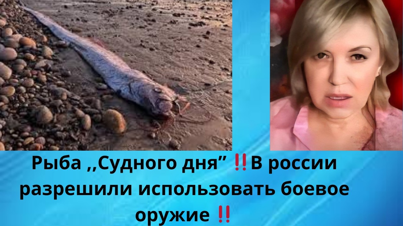 ‼️🦈🐟  Рыбы  ,,Судного дня