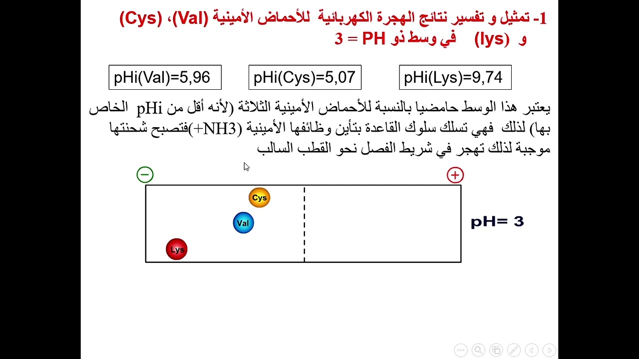 تمرين  حول سلوك الأحماض الأمينية في الوسط