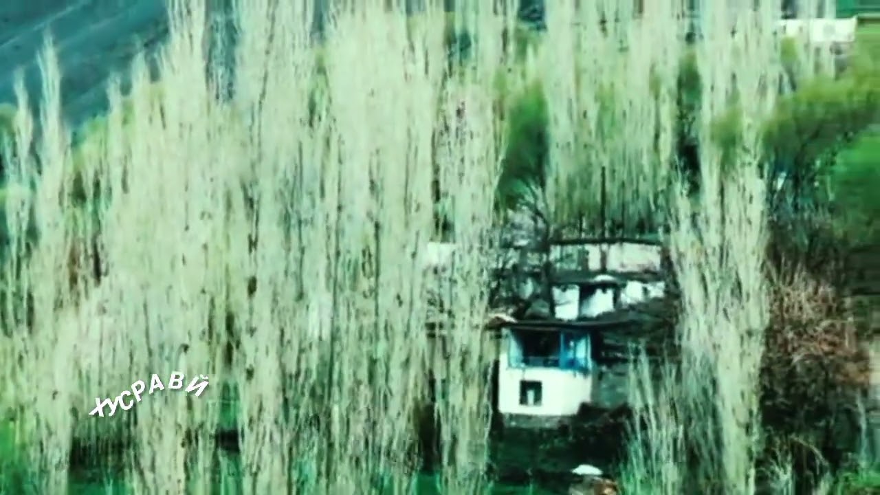 #شغنان بدخشان | زیبایی&zwnj;های طبیعی و #آهنگ دل&zwnj;نواز شغنانی🌿⚘️❤️