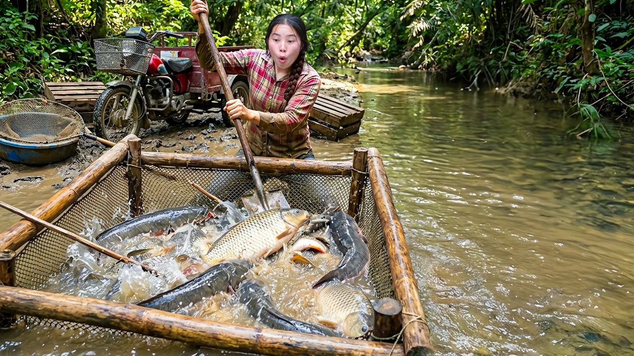 How We Harvest a Giant Fish Pond with My Kids | Selling at the Market and Grilling Fresh Fish