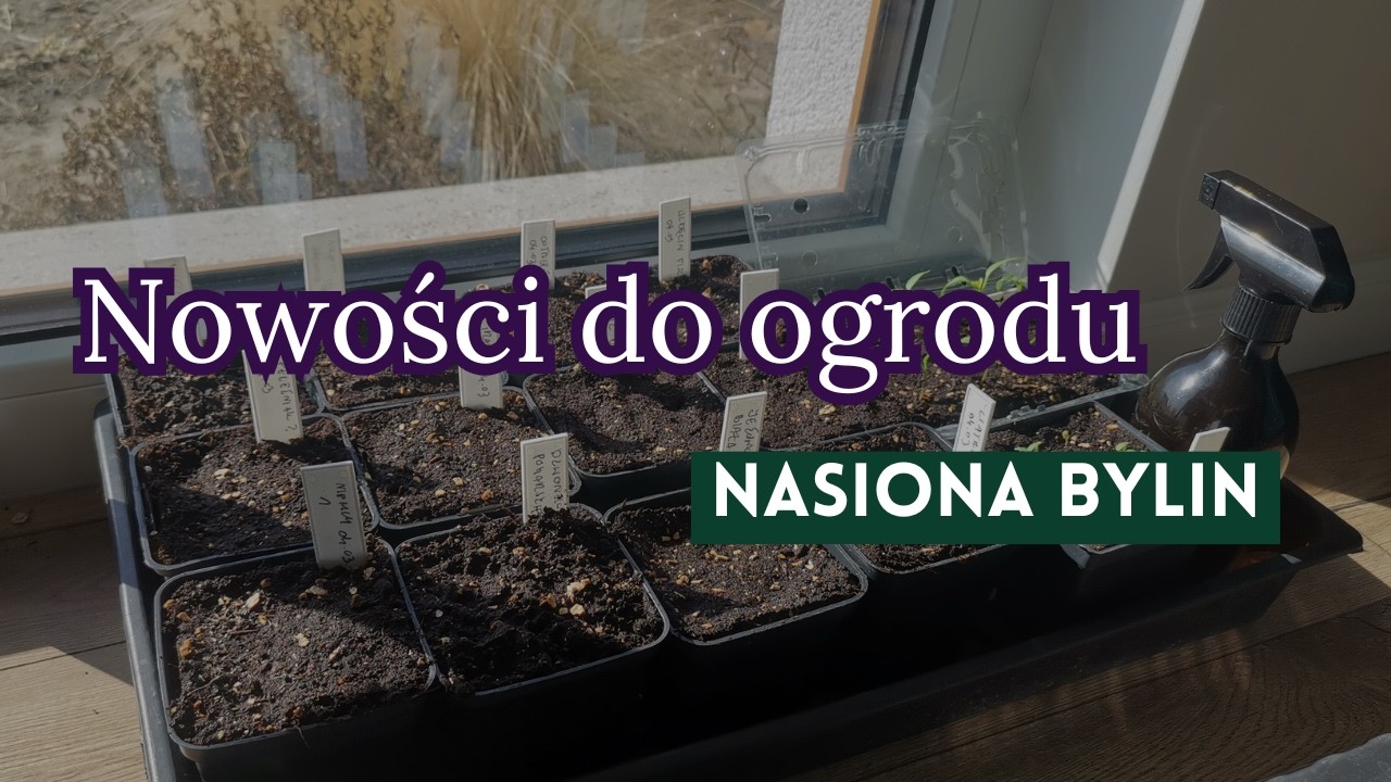 Jakie byliny wprowadzam do ogrodu / przegląd nasion