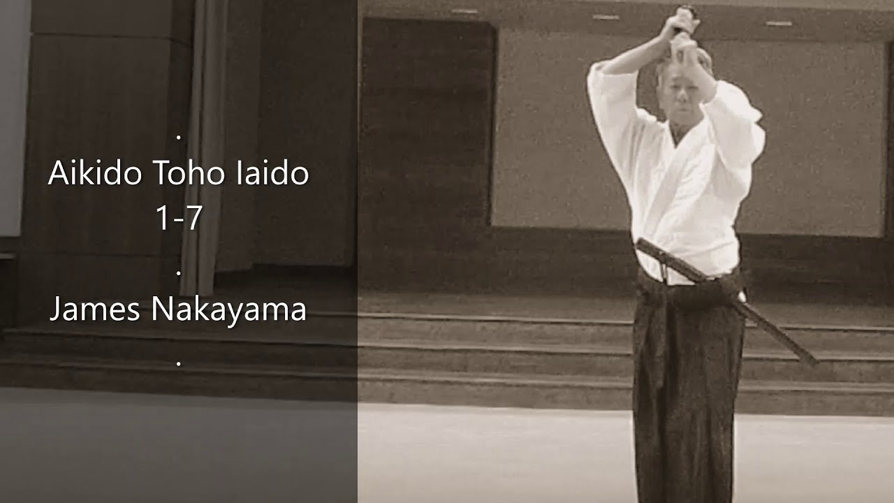 Aikido Toho Iaido 1 - 7