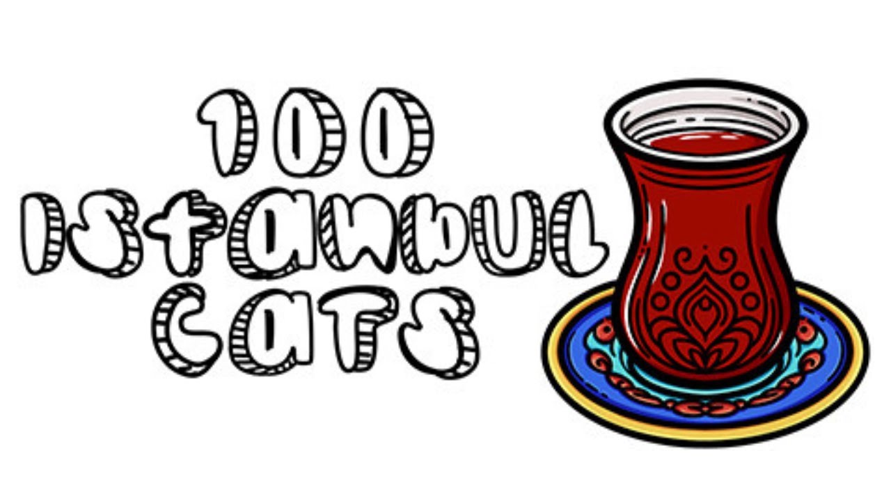 100 Istanbul Cats | Full Game | No Commentary