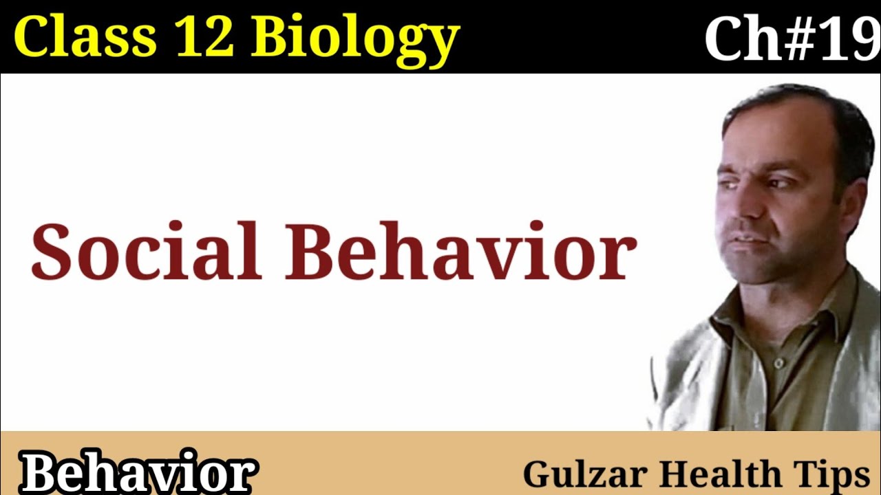 Social Behavior | Types of social Behavior | Behavior Class 12 Biology.