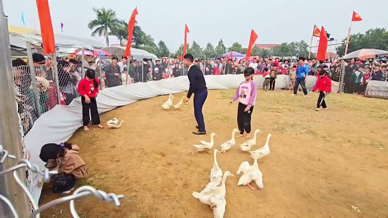 Trò Chơi Dân Gian Bịt Mắt Bắt Vịt Vui Nhộn Tại Lễ Hội Báo Bản Làng Nộn Khê 2025