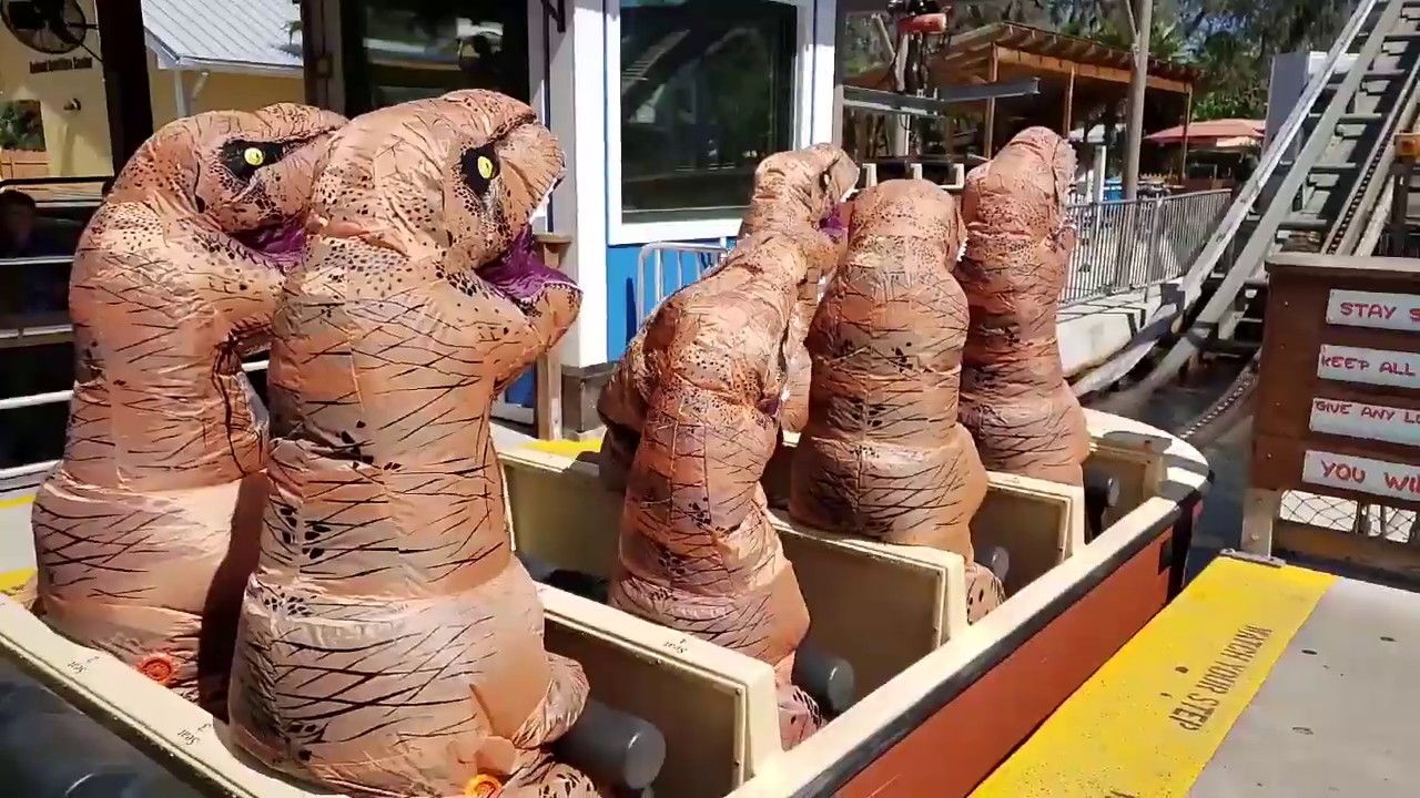 A Dinos trip to the Zoo