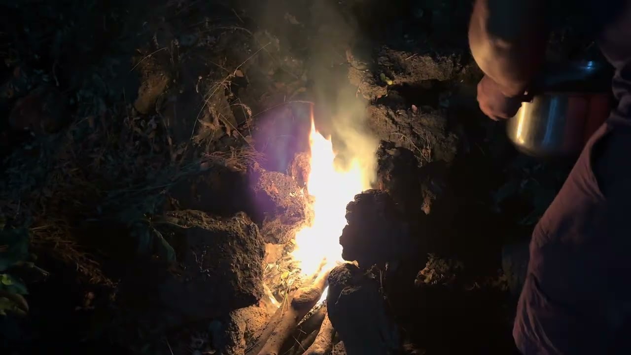 Una madrugada en el corral