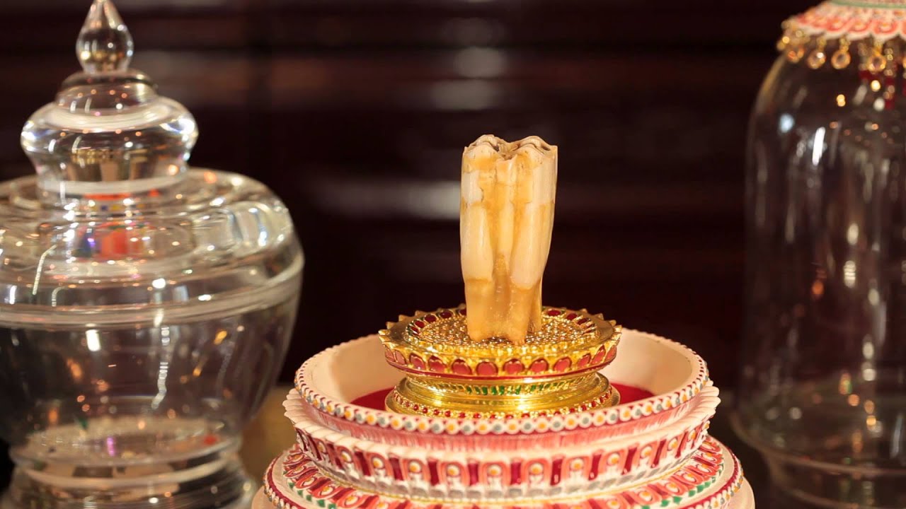 The Buddha's Tooth is Still Growing