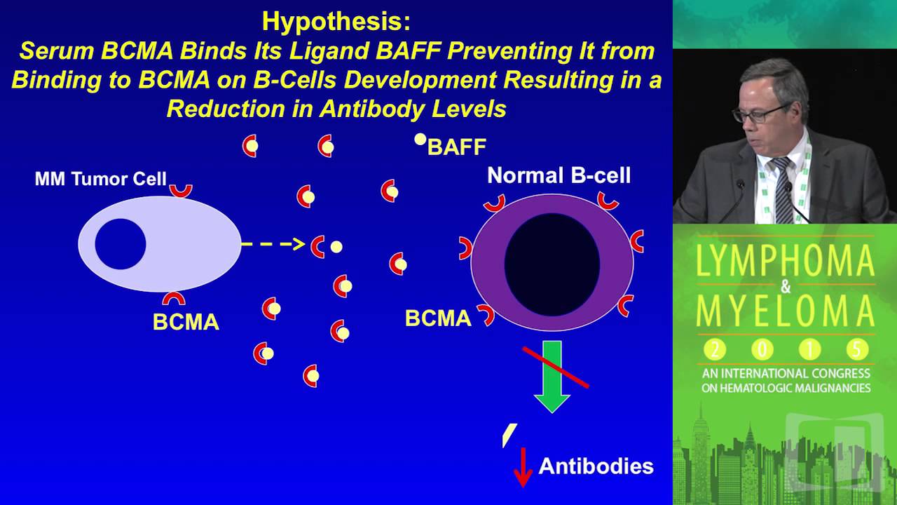 B-cell Maturation Antigen: A new biomarker for B-cell malignancies
