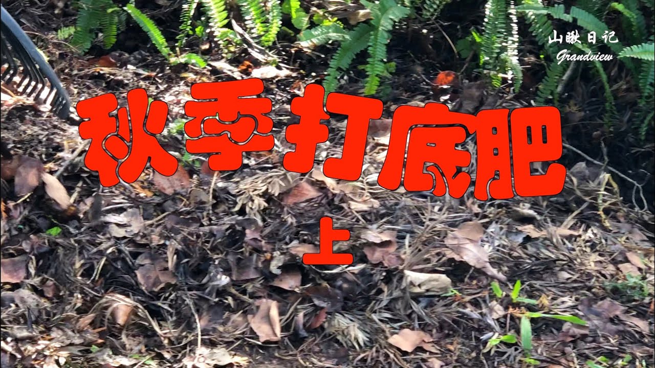 山瞅日记 37--- 如何为秋季农作物打底肥