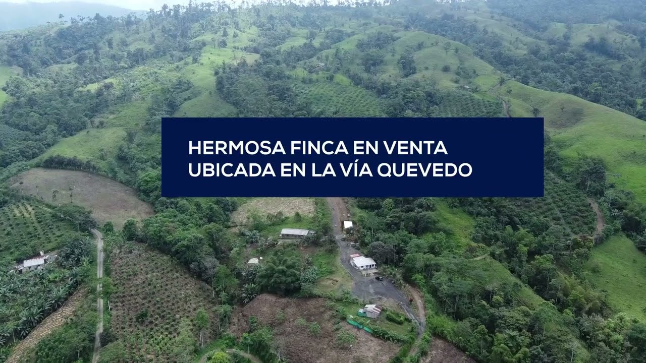 FINCA EN VENTA EN VIA QUEVEDO KM7 A 20 MINUTOS DE LA PRINCIPAL - SANTO DOMINGO DE LOS TSACHILAS