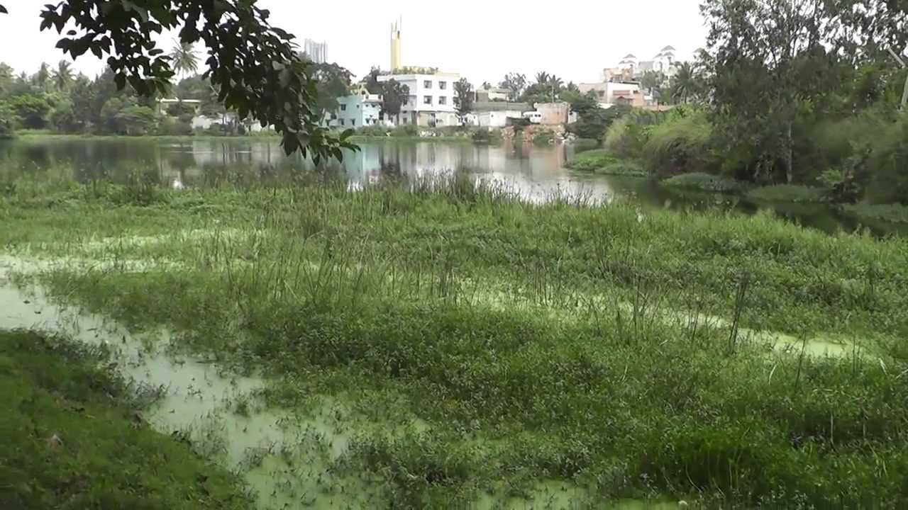 Kalena Agrahara