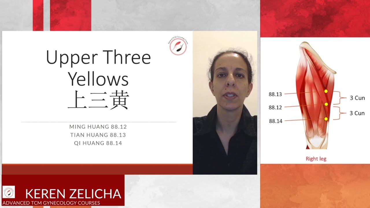 Master Tung's Three Yellows Acupuncture points 88.12+ 88.13+ 88.14