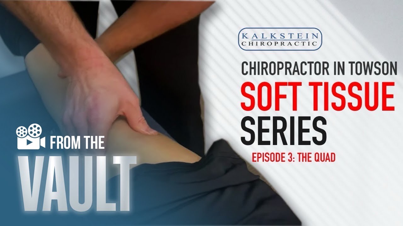 Chiropractor in Towson | Soft Tissue Series - The Quad Muscle