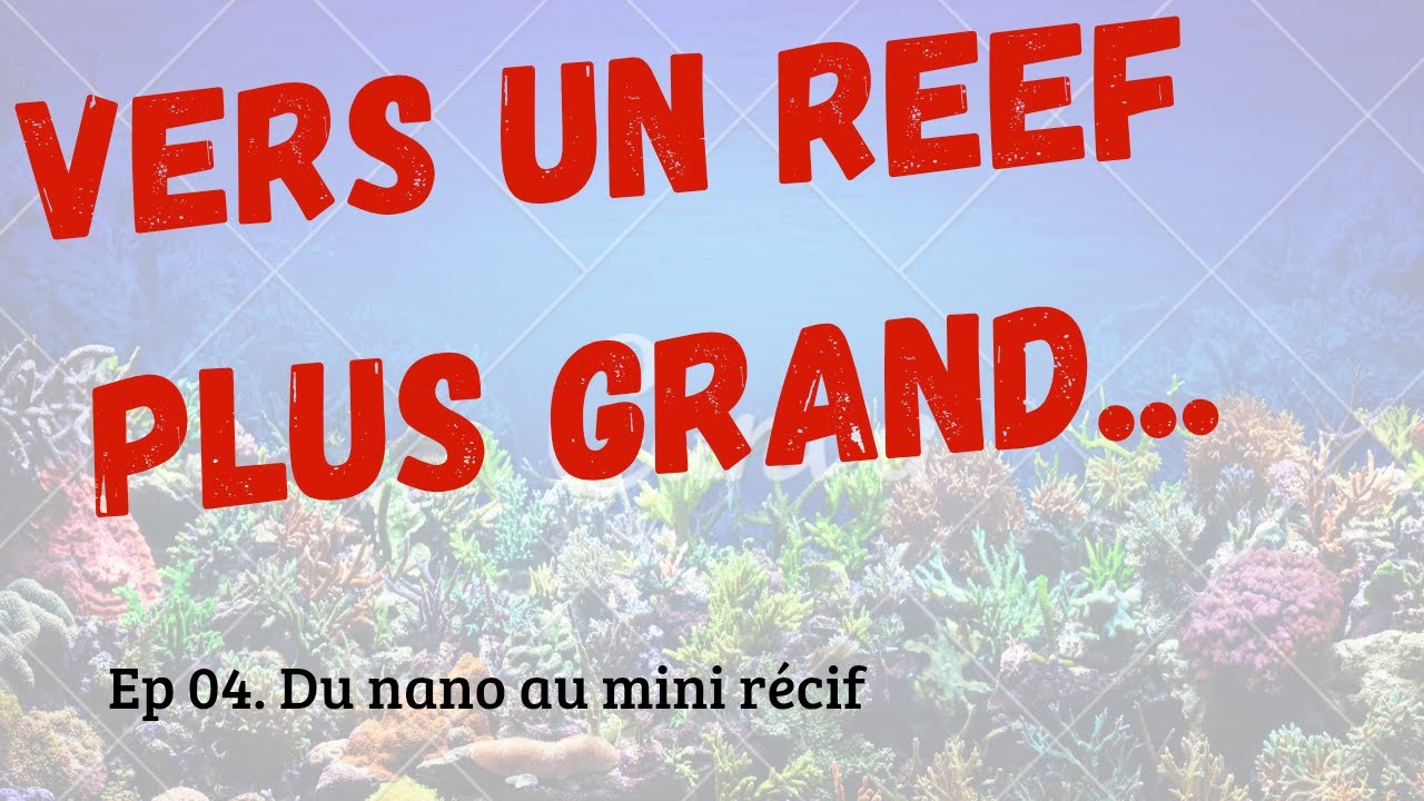ep.4 : Du Nano au Mini Récif