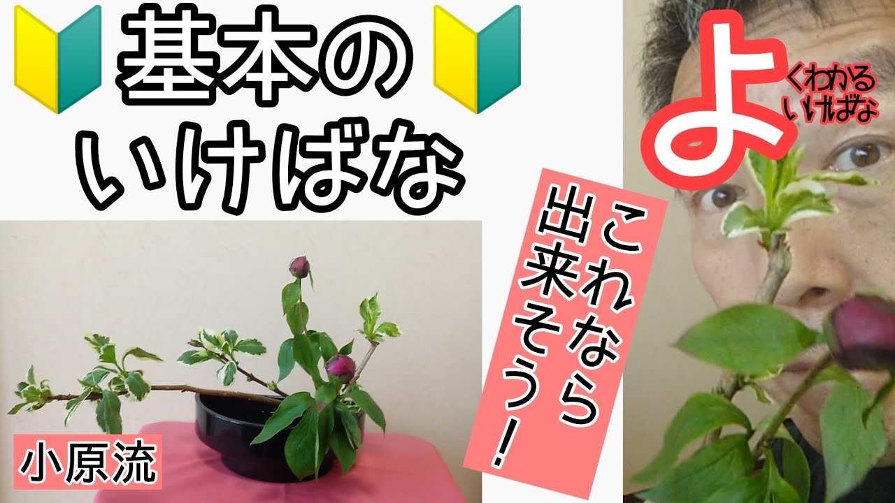 🔰生け花　初心者向け　小原流　花意匠　かたむけるかたちのポイントをおさえよう　基本の盛花　始めよういけばな　レッスン！