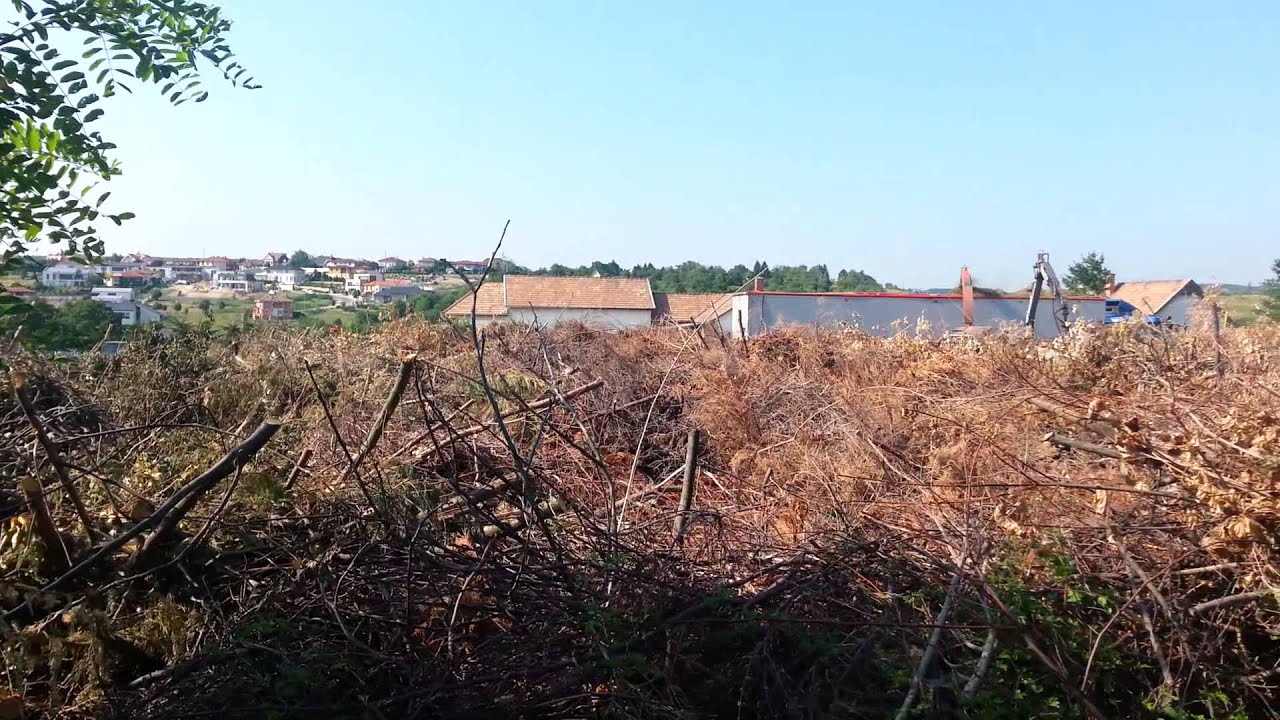 T&ouml;r&ouml;kb&aacute;lint, z&ouml;ldhullad&eacute;k-dar&aacute;l&aacute;s a vihar ut&aacute;n
