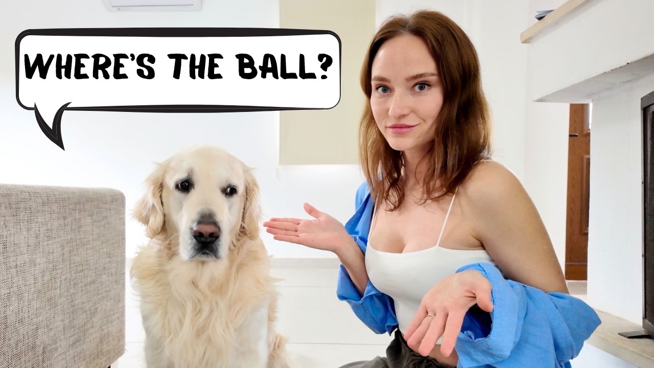 Hilarious Dog Mesmerized By Ball Trick!